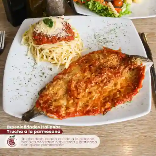 Trucha a la Parmesana