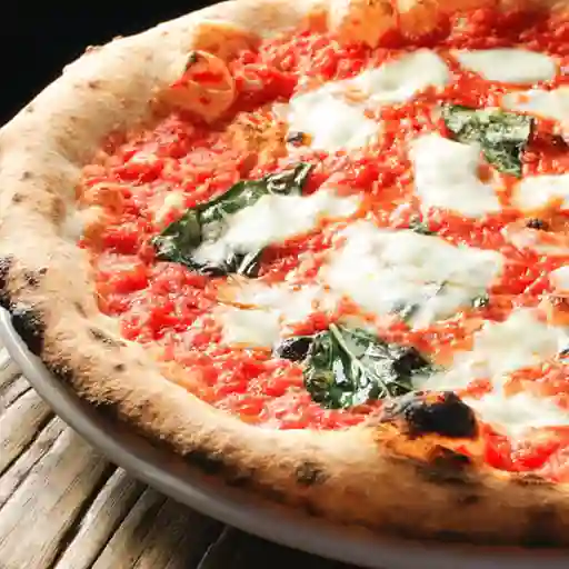 Pizza regina margherita