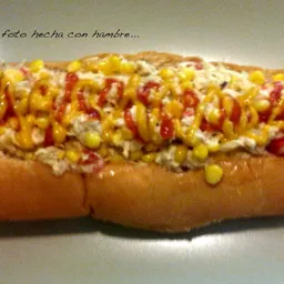 Hot Dog Big Company