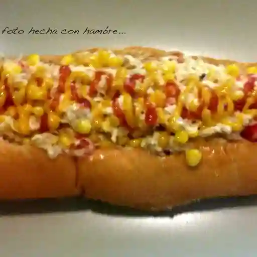 Hot Dog Big Company con Papas Fritas