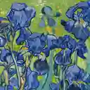 Loqi Bolsa Vincent Van Gogh Irises