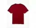 Camiseta Hombre Rojo Talla SMALL American Eagle