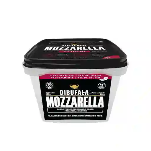 Dibufala Queso Mozzarella Ciliegine