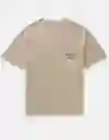Camiseta Hombre Beige Talla: MEDIUM 4426212 American Eagle