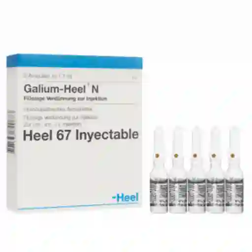 HEEL Galium Esp Ampollas X5