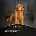 Pro Plan Alimento para Perro Adulto Active Mind