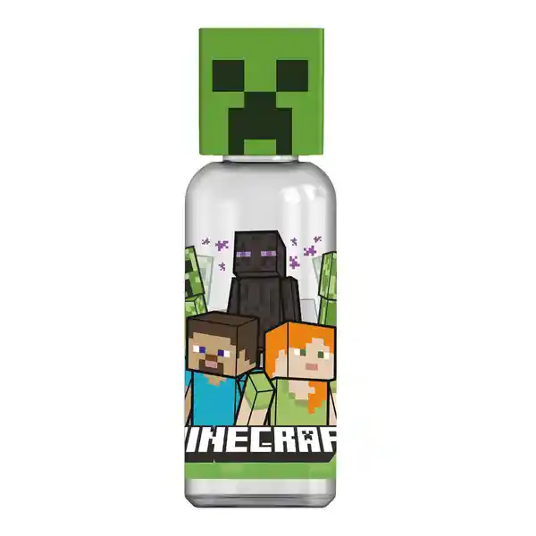 Minecraft Botella Figurita 3d