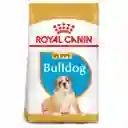 Royal Canin Alimento para Perro Bulldog Ingles Junior