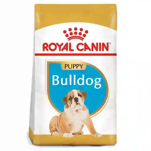 Royal Canin Alimento para Perro Bulldog Ingles Junior