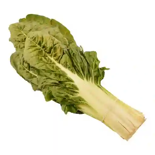 Acelga