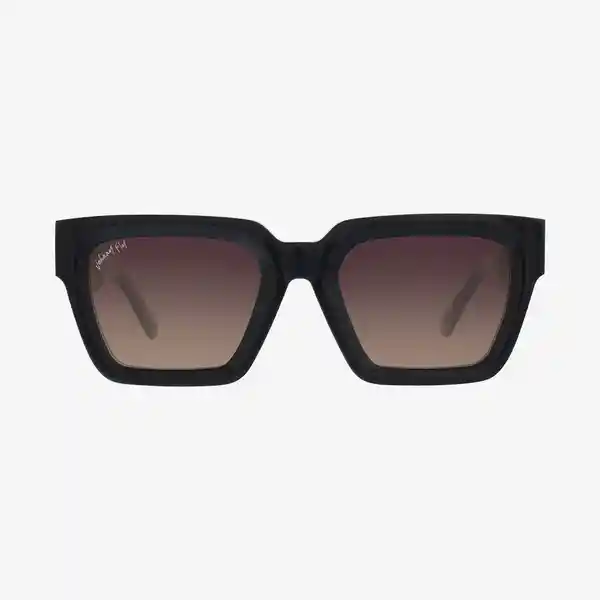 Johnny Fly Gafas Fame Negro Lente Negro