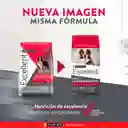 Comida para perros EXCELLENT ADULT Mantenimiento x 22,7 kg