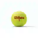 Wilson Tarro De Pelotas De Tenis Set 3 Tournament Red