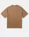 Camiseta Hombre Beige Talla X-SMALL 3664243 American Eagle