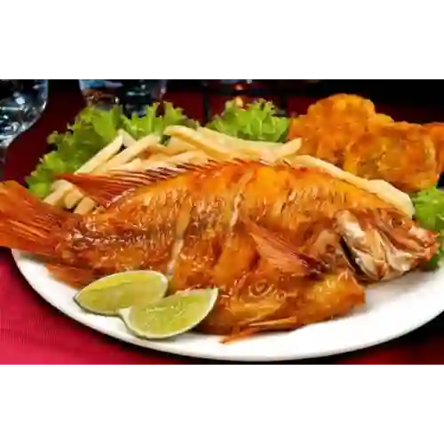 Mojarra Frita