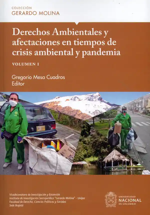 Derechos Ambientales y Afectaciones en Tiempos de Crisis Ambiental y Pandemia