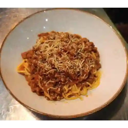 Bolognesa