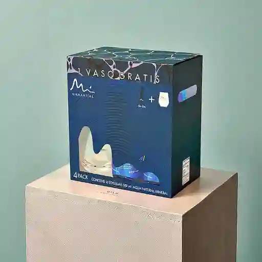 Agua Manantial 300Ml