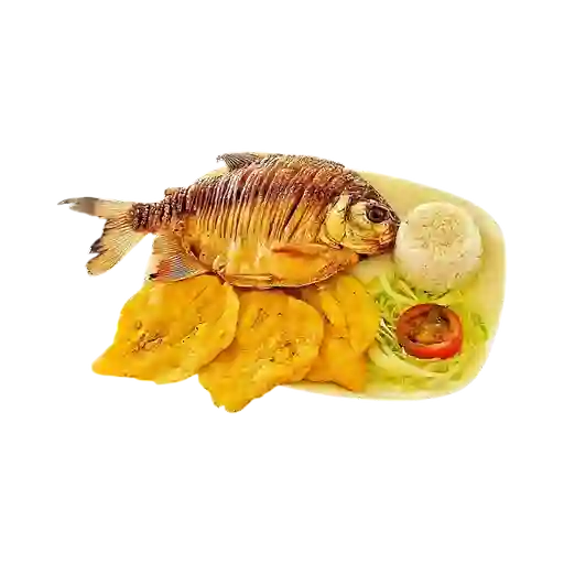 Cachama Frita