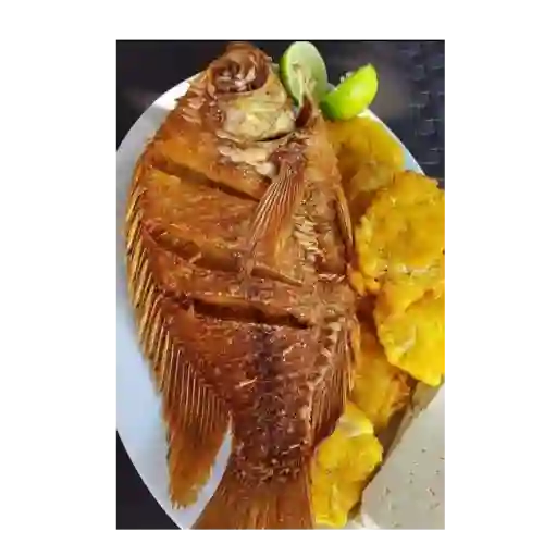 Tilapia Frita