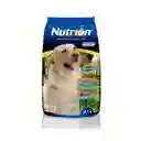 Nutrion Alimento Premium para Perro Adulto 
