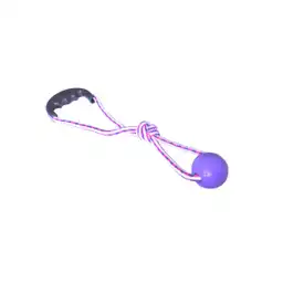 Am Lazo Plásticos Pelota Para Perro Maciza Con Mini
