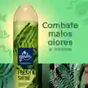 Glade Aerosol Edición Limitada Fresh & Shine 