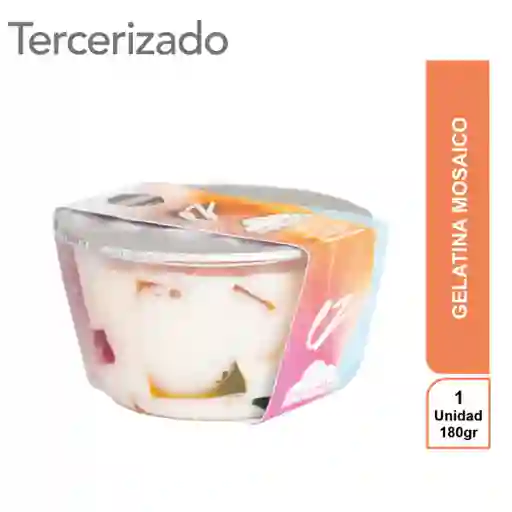 Eliana Zaia Gelatina Mosaico