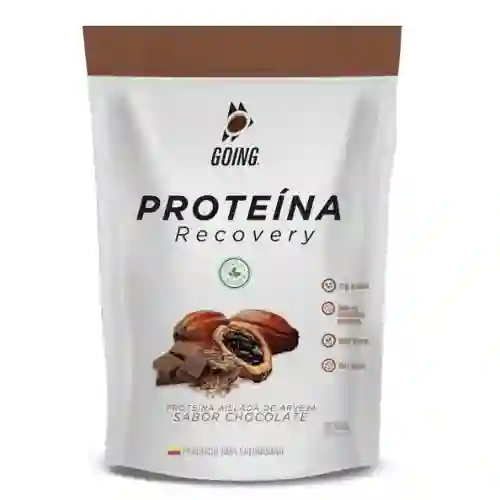 Going Proteína Recovery