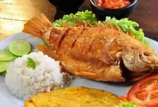 Mojarra