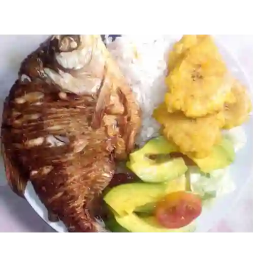 Cachama Frita