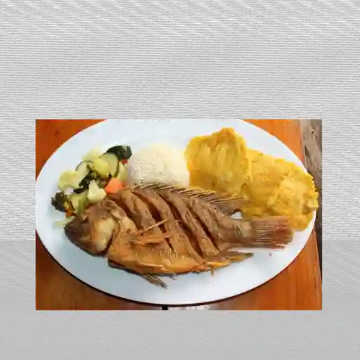 Tilapia frita