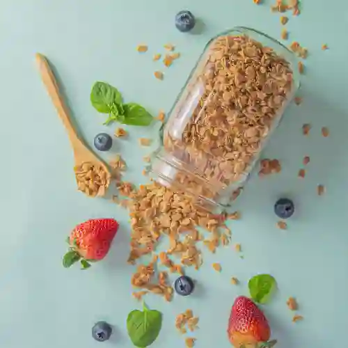 Granola Avena Toasted 450 gr