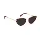 Polaroid Gafas Vinotinto Mujer Ta Pld6148sx 0lhf 55/18 145 M9