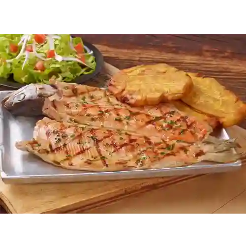 Trucha Asada
