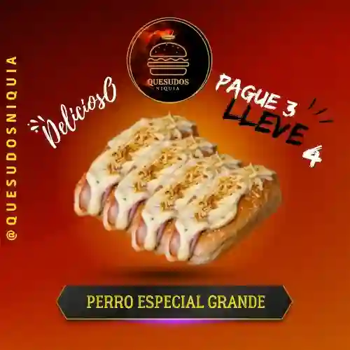 Pague 3 Lleve 4 Perro Especial Grande