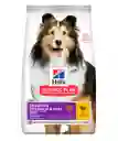 Hill's Science Diet Canine Sensitive Stomach & Skin