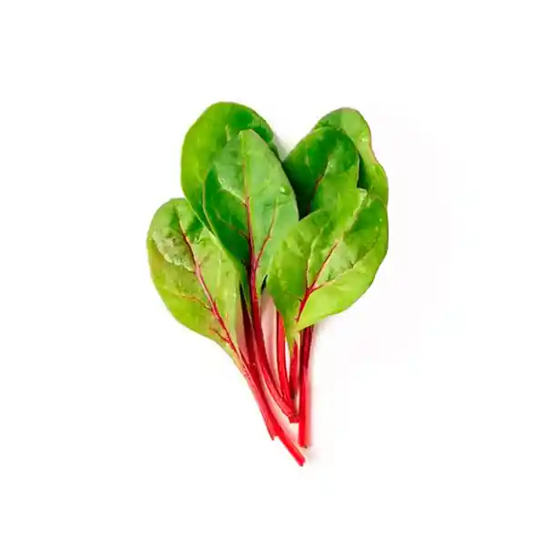 Acelga Roja