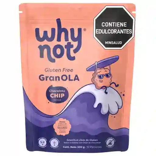 Why Not Granola Chocolate Chip Cookie