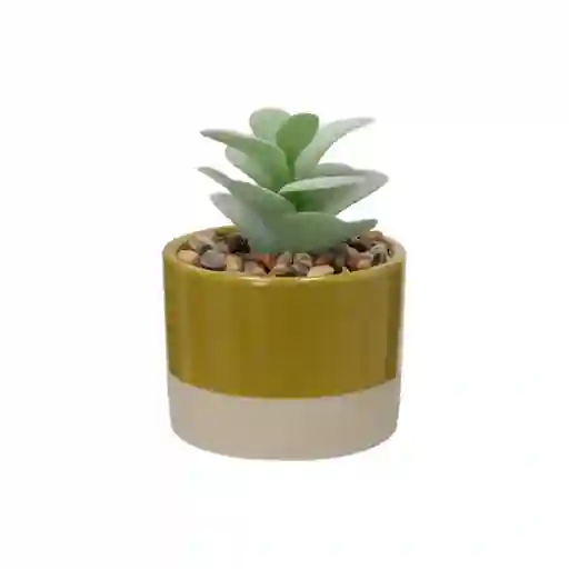 Maceta Cactus Dúo Tono Ocre Diseño 0001 Casaideas