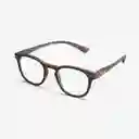 B+D Gafas Reading Dot Gris + 2.50