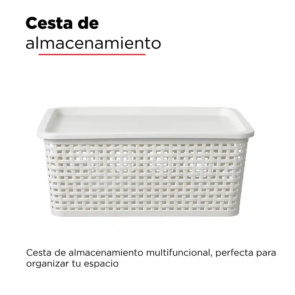 Caja de Plastico Con Cobertura L