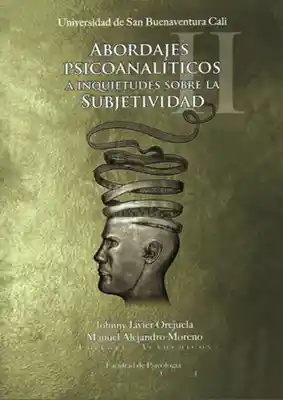 Abordajes psicoanalíticos a inquietudes sobre la subjetividad II