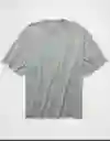 Camiseta Hombre Gris Talla MEDIUM 4887012 American Eagle