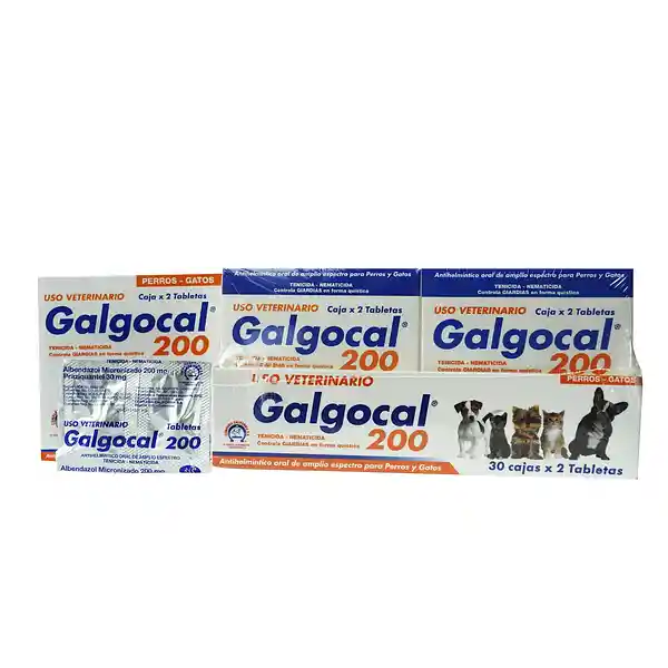 Galgocal Antiparasitario 200 Interno