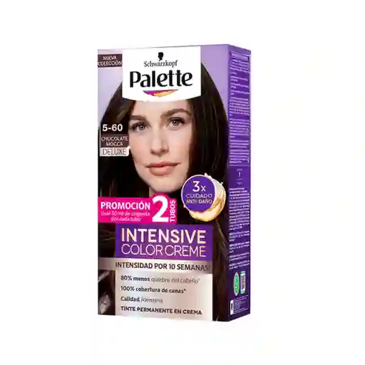 Palette Intensive Tinte Color Creme Chocolate Mocca 5-60 100 mL