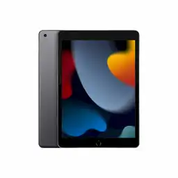 Apple Ipad de 10.2" Pulgadas 256GB Wifi Gris