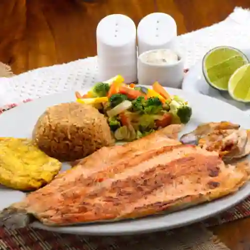 Mega Menu con Media Trucha