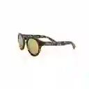 Gafas I 23867-BOL-81 Invicta