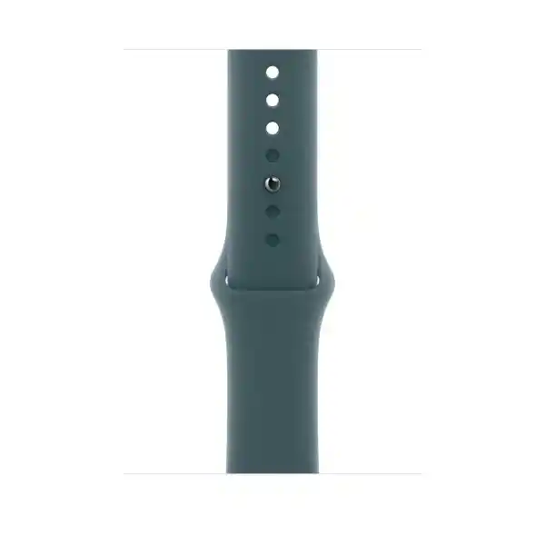 Correa Apple Watch Lake Green Sportband M/L 46 mm